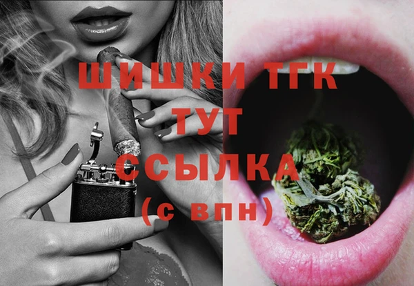 сатива Белокуриха