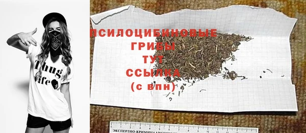 PSILOCYBIN Михайловка