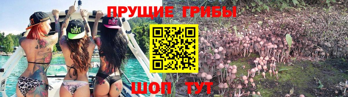 Галлюциногенные грибы Magic Shrooms  Вход с VPN  Галлюциногенные грибы прущие грибы  Якутск 