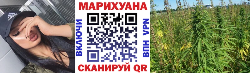 где найти   Якутск  Шишки марихуана VHQ 